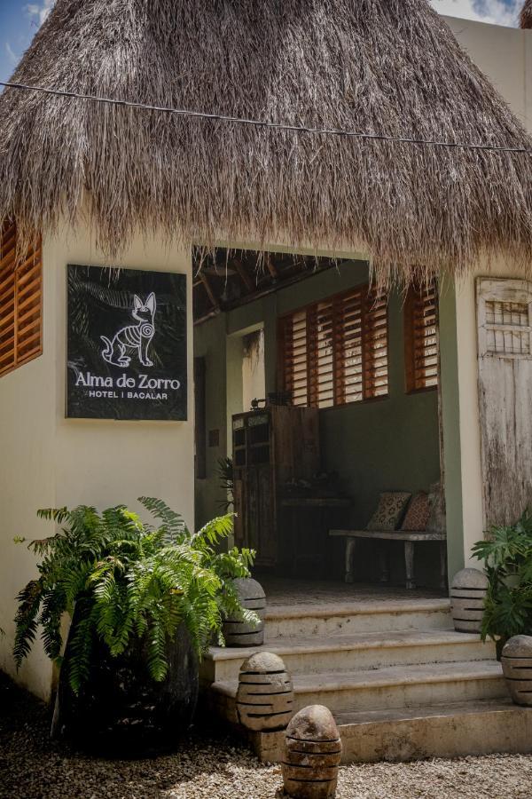 Alma De Zorro Hotel Bacalar Eksteriør billede